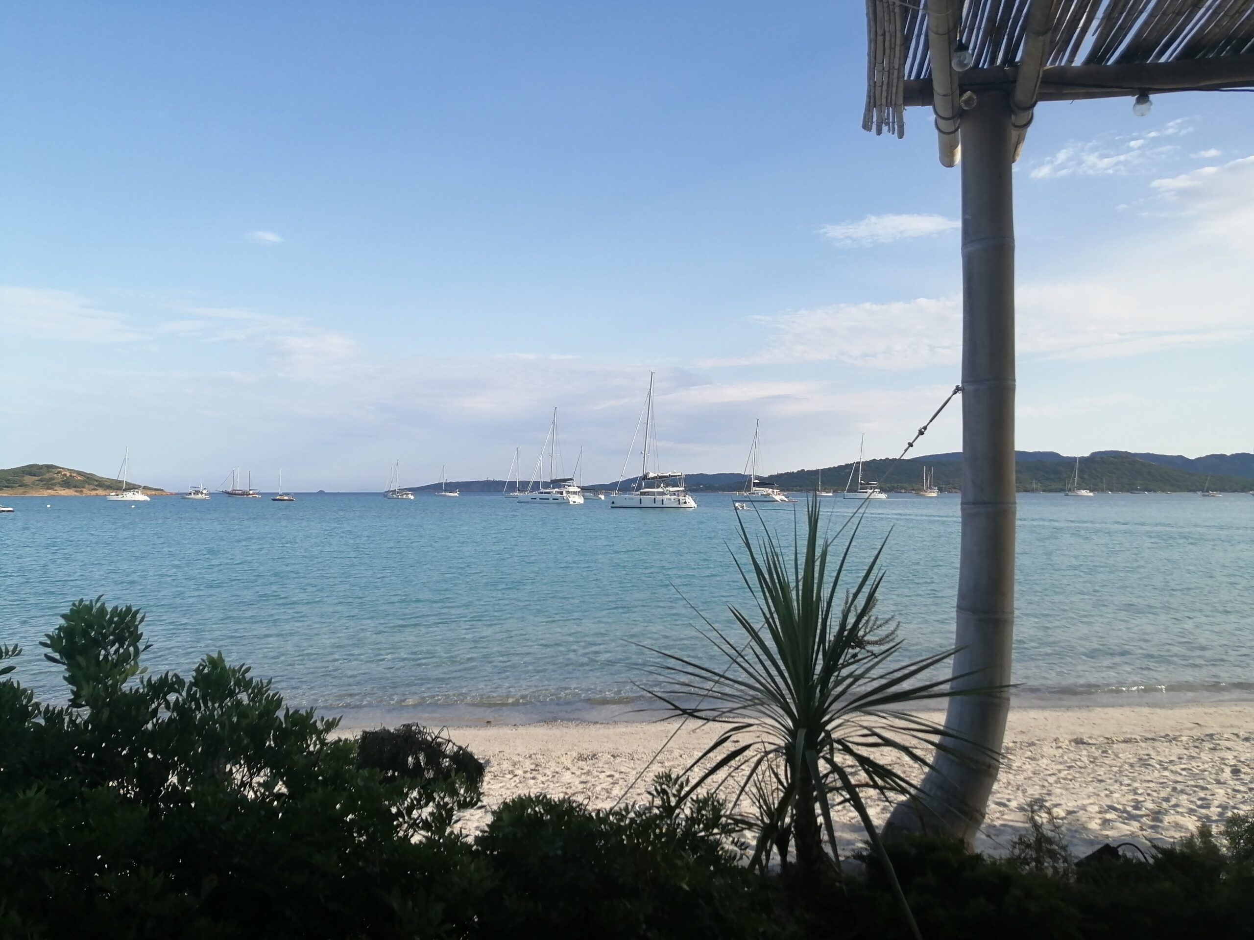 IMG_20220613_190436